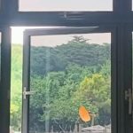 Solar Window Film Singapore for Homes